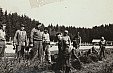 Myslivecká brigáda v lesní školce v Čížkově