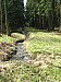 Lesní potůčky jsou vodnaté po celý rok. Toto je zrod Planinského potoka, který v Nových Mitrovicích vtéká do Mítovského potoku .