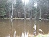 Lesní rybníčky v prostoru nad Drahotou