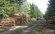 Dřevní hmota – vyrobeno a prodáno firmou Jedlička s.r.o. – 847 m3
