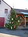 Zdobení vánočního stromu na návsi v Čečovicích 6.12.2015
